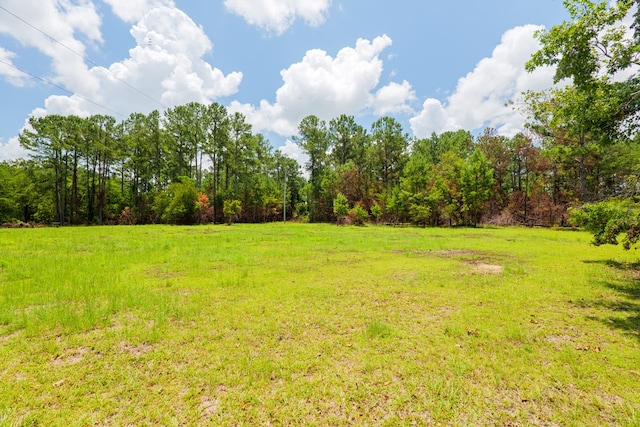 7552 Webb Rd, Hahira, GA 31632 - view of grassy yard featuring a wooded view and a rural view