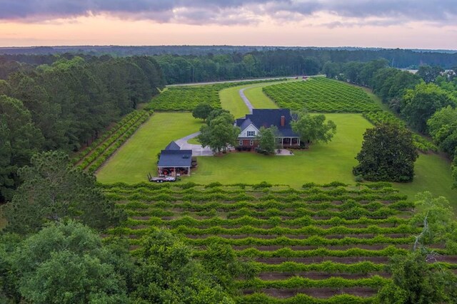 2421 Nashville Enigma Rd, Nashville, GA 31639 - photo 1