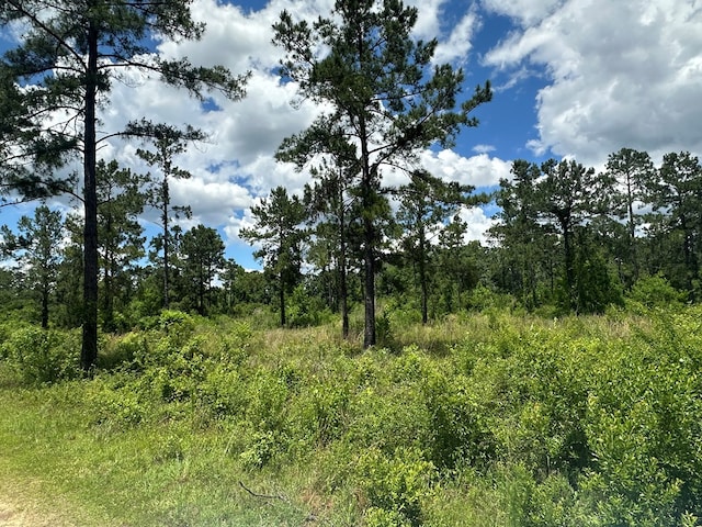 0 N US Highway 41, Hahira, GA 31632