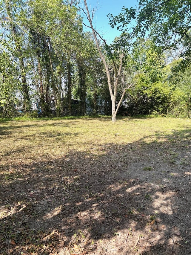 902 E Cranford Ave, Valdosta, GA 31602 - photo 10