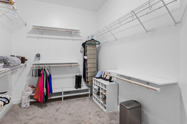 walk in closet featuring carpet floors