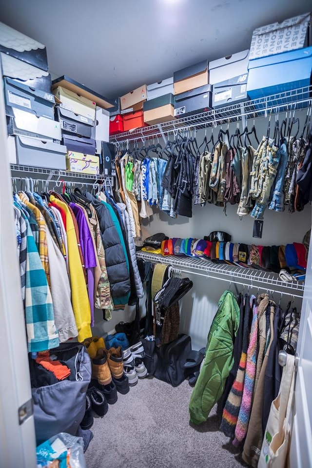 walk in closet featuring carpet