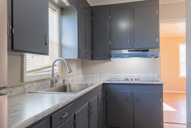 kitchen with light wood-type flooring, gray cabinetry, black electric cooktop, crown molding, and sink