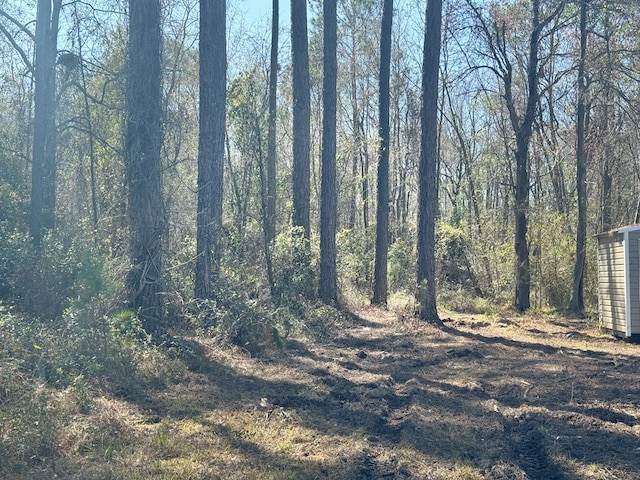 view of local wilderness