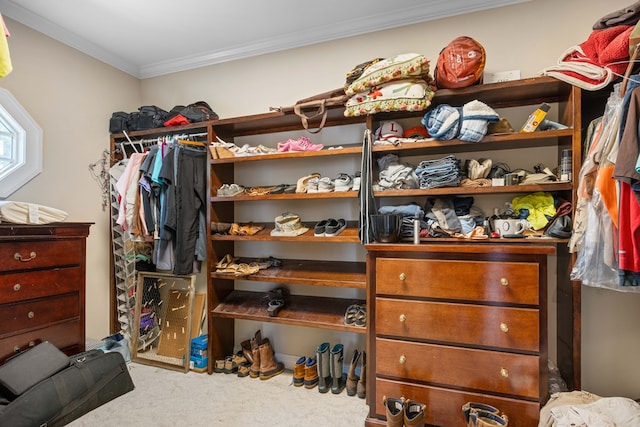 4155 Quail Run Cir, Valdosta, GA 31601 - walk in closet with carpet flooring