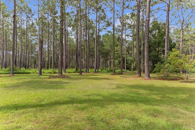 7747 Empress Rd, Quitman, GA 31643 - photo 94