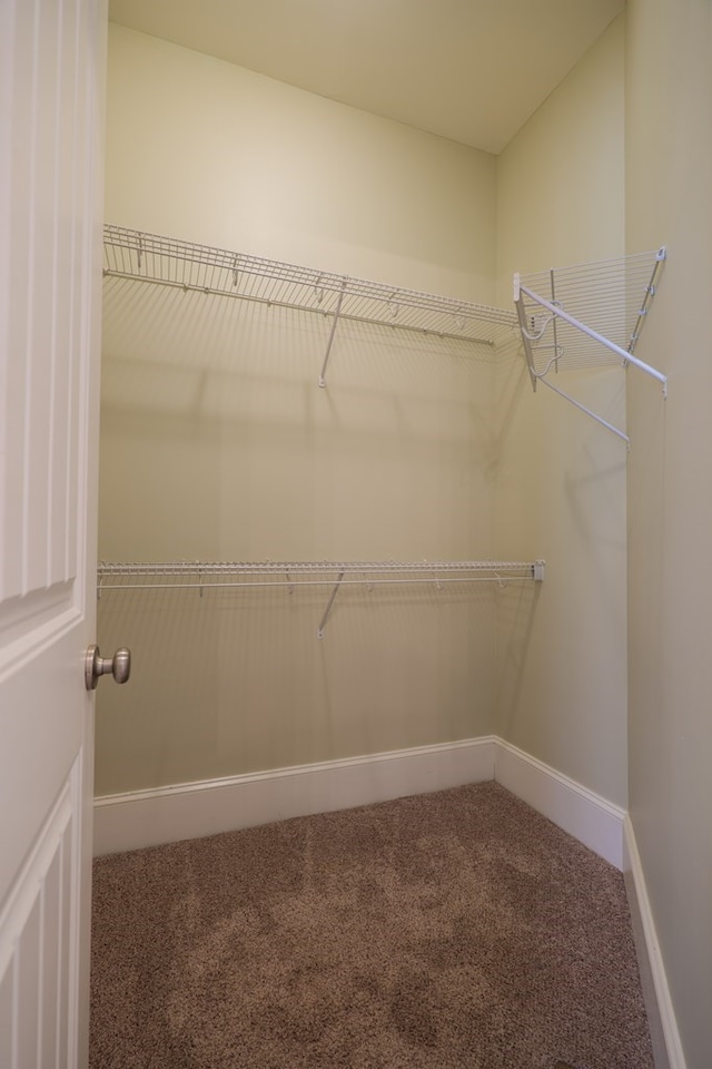 spacious closet with carpet flooring