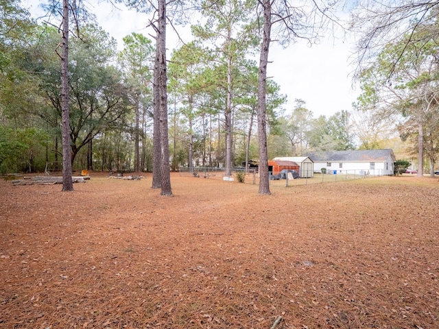 view of yard featuring a shed