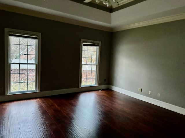 spare room with crown molding and dark wood-type flooring