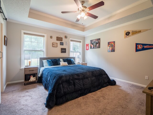 carpeted bedroom featuring a raised ceiling, multiple windows, ceiling fan, and crown molding