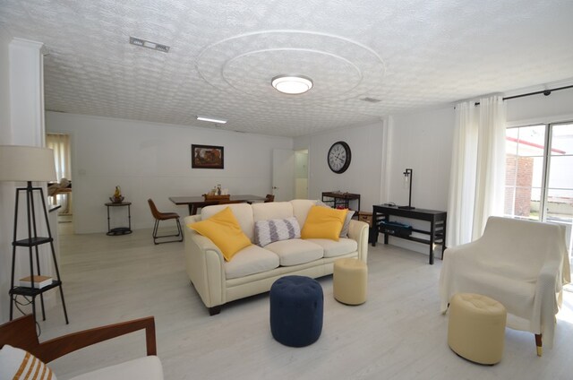 living room with light hardwood / wood-style floors and a textured ceiling