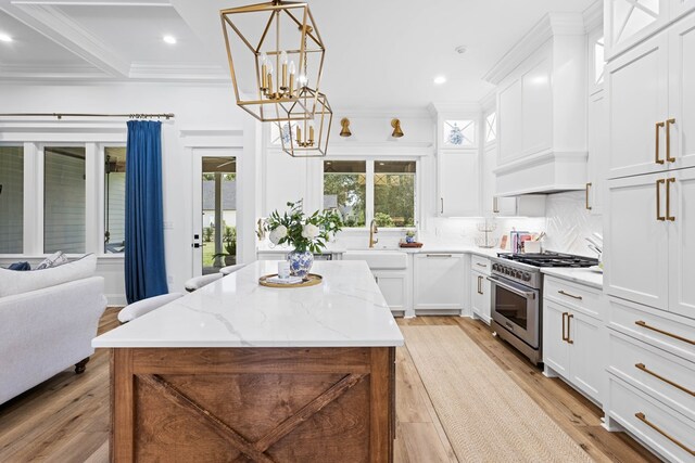 kitchen with premium range hood, stainless steel stove, a wealth of natural light, and light wood finished floors