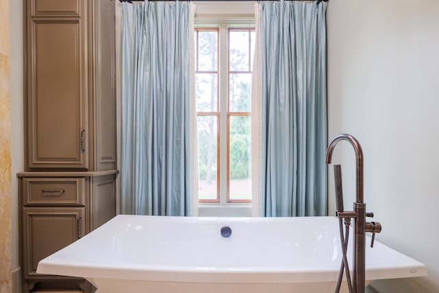 bathroom with a tub and a healthy amount of sunlight