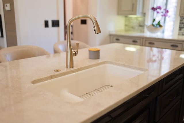 details with dark brown cabinets, light stone counters, and sink