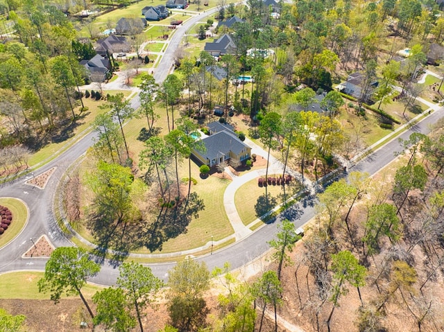 drone / aerial view