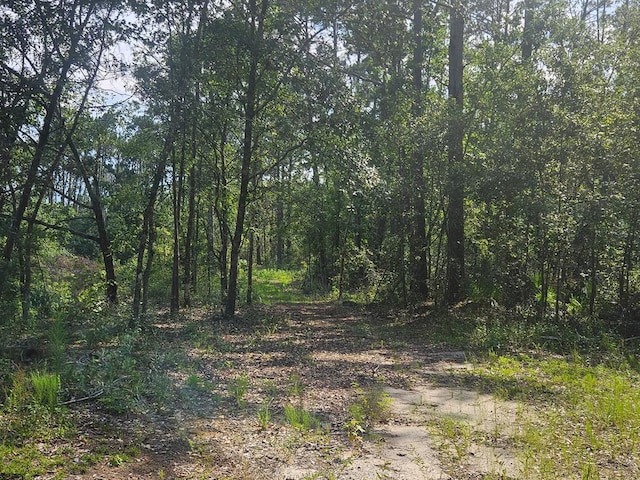 000 Empire Church Rd, Lakeland, GA 31620