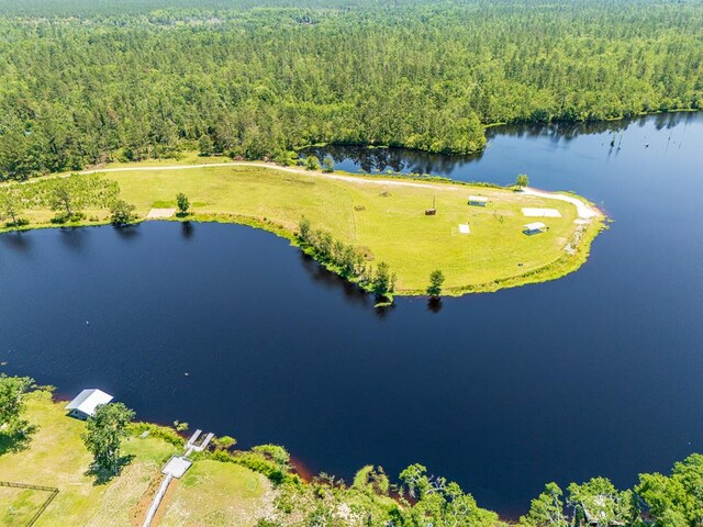 6120 Lake Shore Dr, Naylor, GA 31641 - photo 60