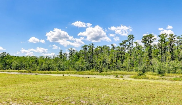 8290 Morven Rd, Hahira, GA 31632 - photo 8
