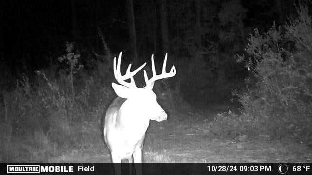 8290 Morven Rd, Hahira, GA 31632 - photo 46