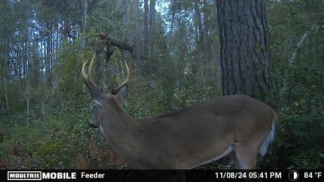 8290 Morven Rd, Hahira, GA 31632 - photo 47
