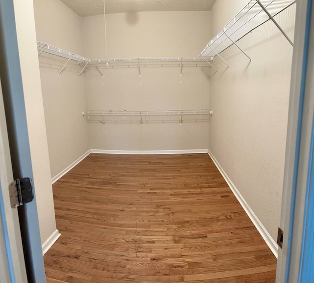 spacious closet featuring hardwood / wood-style floors