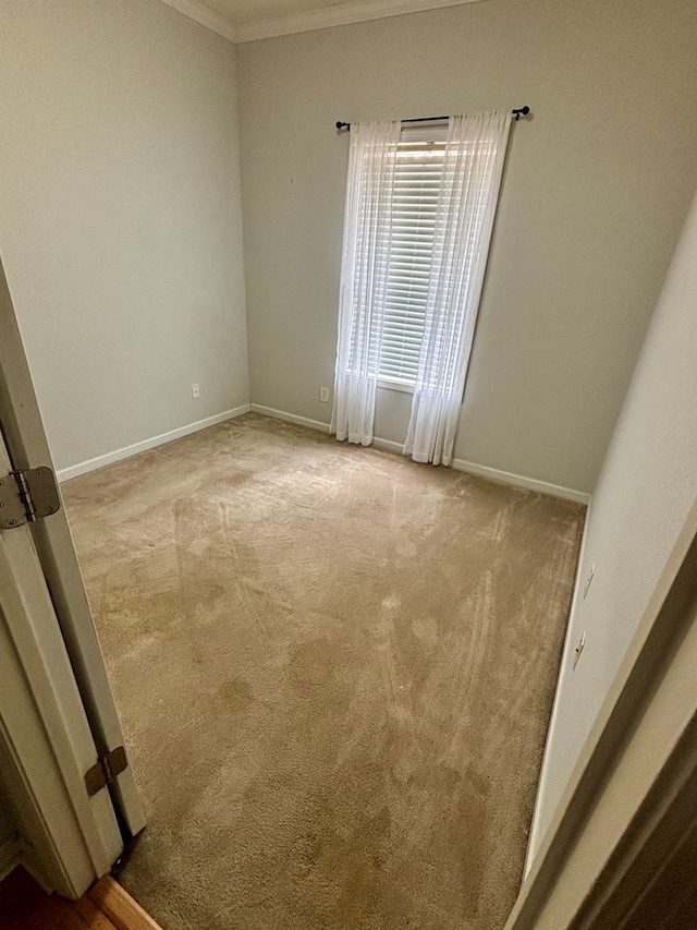 empty room with light carpet and crown molding