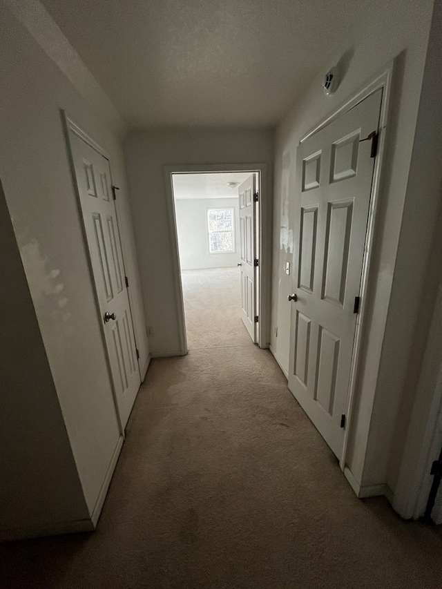 hallway featuring light colored carpet