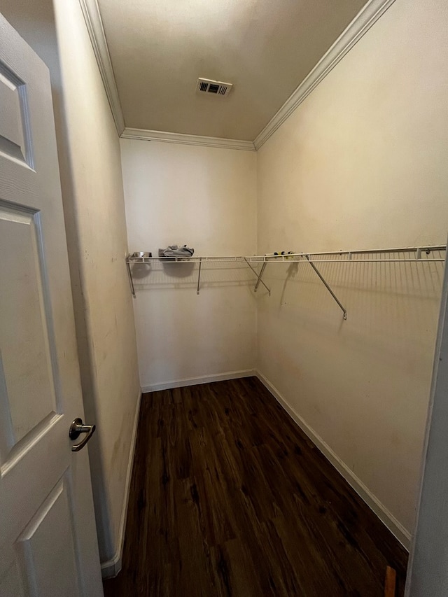 walk in closet featuring dark wood-type flooring