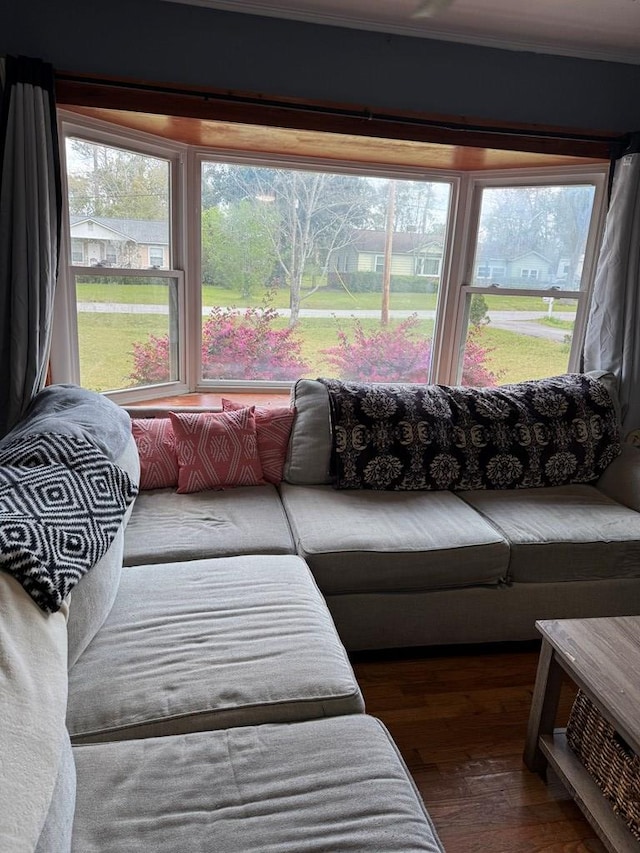 living area featuring wood finished floors