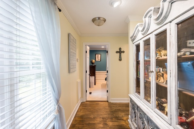 hallway featuring ornamental molding and dark hardwood / wood-style flooring