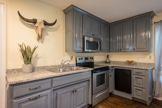 kitchen featuring stainless steel appliances, dark hardwood / wood-style floors, sink, and gray cabinetry