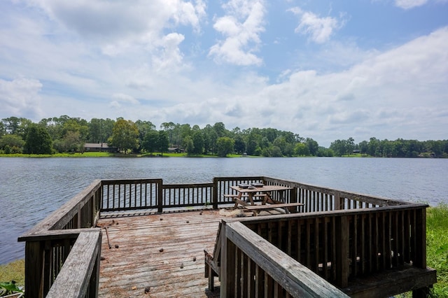 dock area with a water view