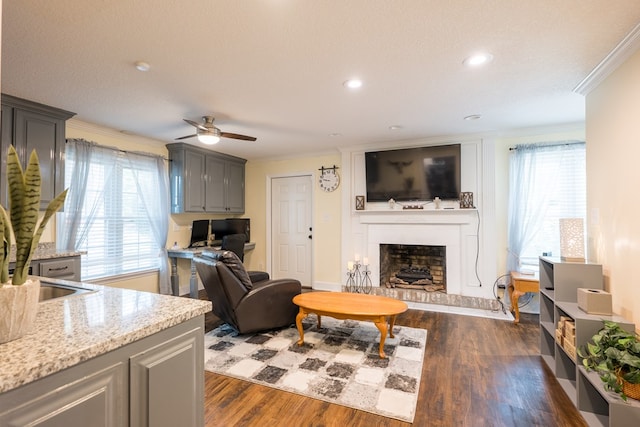 living room featuring sink, ceiling fan, crown molding, dark wood-type flooring, and a textured ceiling