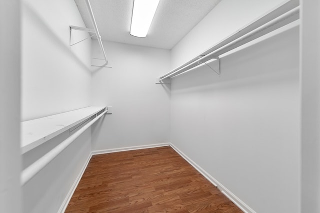 spacious closet featuring wood-type flooring