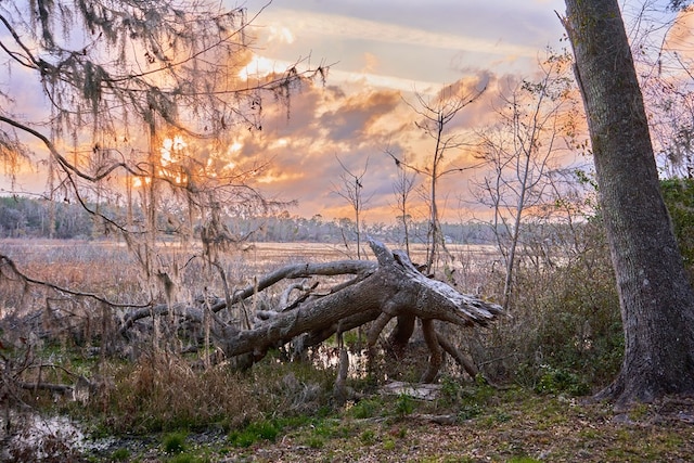 view of nature at dusk