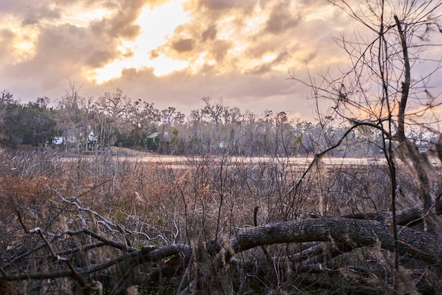 view of nature at dusk