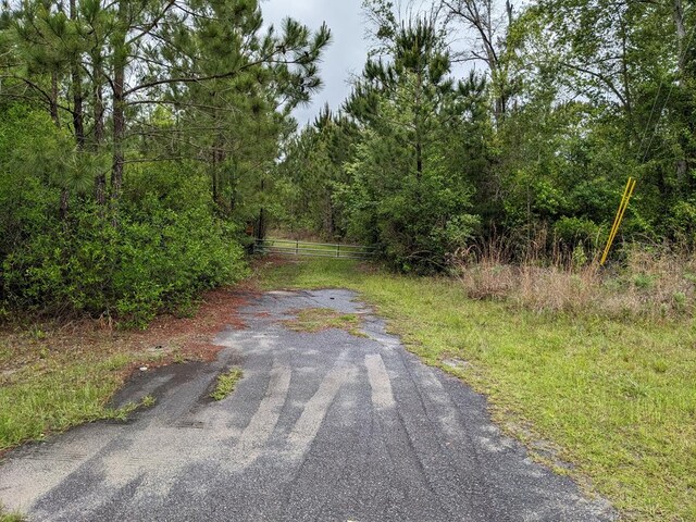 LOT10 Skipper Bridge Rd, Hahira, GA 31632