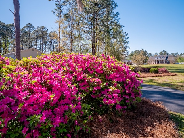 1144 N Lakeshore Dr, Valdosta, GA 31605 - photo 52
