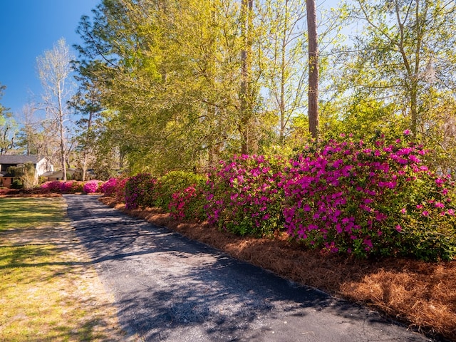 1144 N Lakeshore Dr, Valdosta, GA 31605 - photo 49