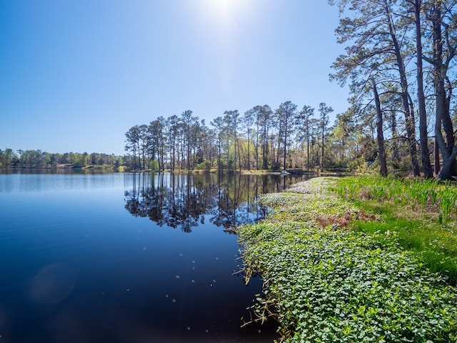 1144 N Lakeshore Dr, Valdosta, GA 31605 - photo 68