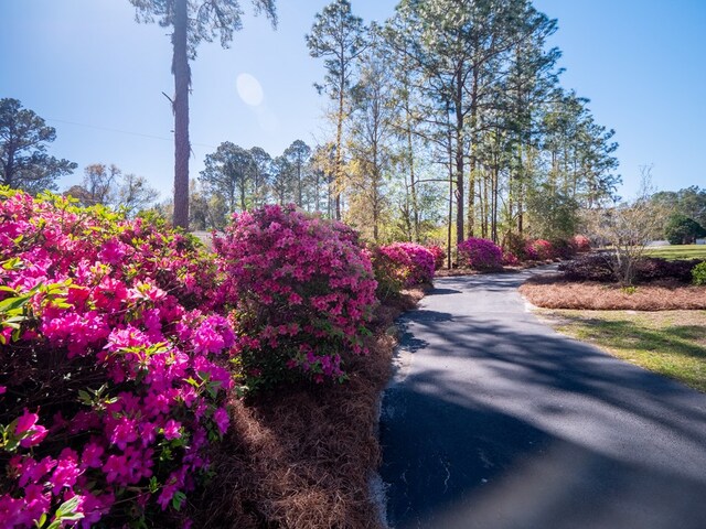 1144 N Lakeshore Dr, Valdosta, GA 31605 - photo 53