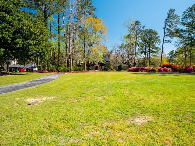 1144 N Lakeshore Dr, Valdosta, GA 31605 - photo 40