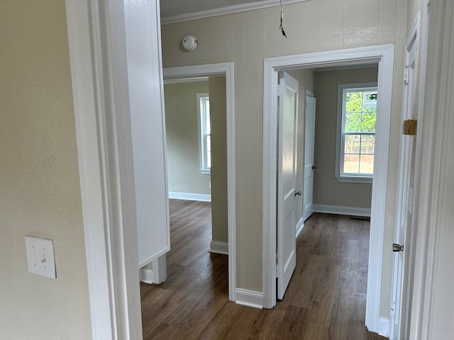 hall with dark hardwood / wood-style flooring and crown molding