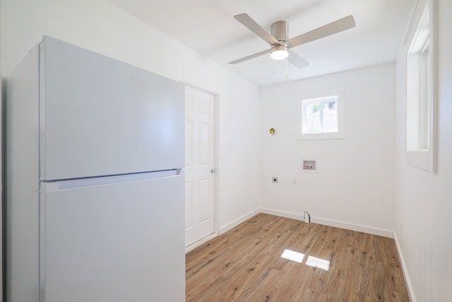 washroom featuring electric dryer hookup, ceiling fan, washer hookup, and light wood-type flooring