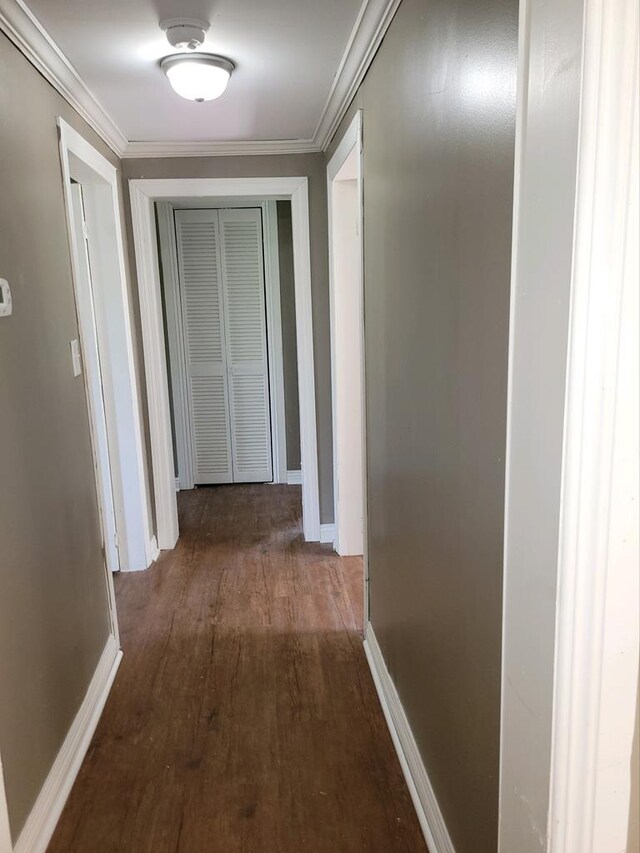 corridor featuring dark hardwood / wood-style flooring and crown molding