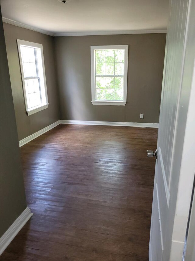 empty room featuring ornamental molding, dark hardwood / wood-style flooring, and a healthy amount of sunlight