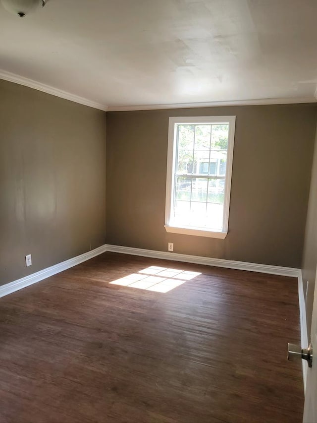 spare room with crown molding and dark wood-type flooring