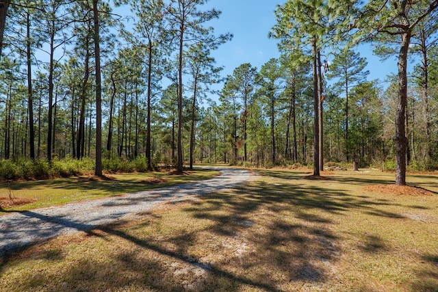 view of road with a forest view