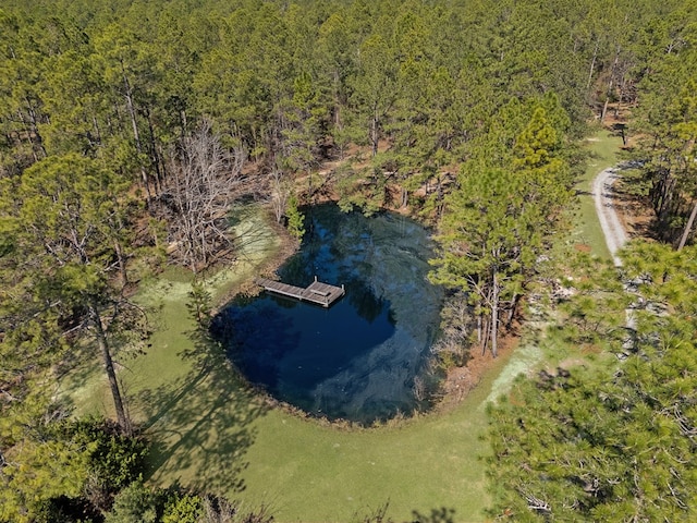 drone / aerial view featuring a water view and a view of trees