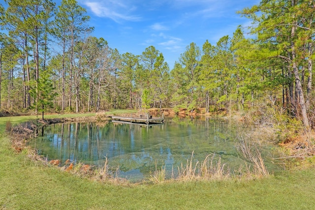 view of water feature with a view of trees